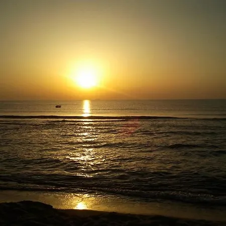 Mg Palace Costa Del Sole Hotel 3*