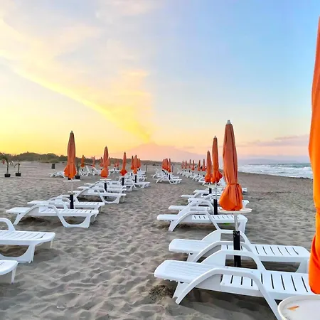 Hotel Mg Palace Costa Del Sole 3*