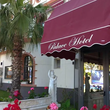 Hotel Mg Palace Costa Del Sole 3*