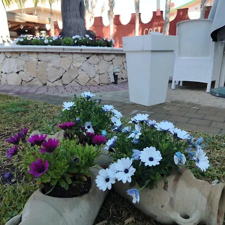 Mg Palace Costa Del Sole 3* Agnone Bagni